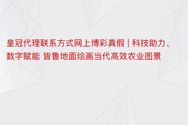 皇冠代理联系方式网上博彩真假 | 科技助力、数字赋能 皆鲁地面绘画当代高效农业图景