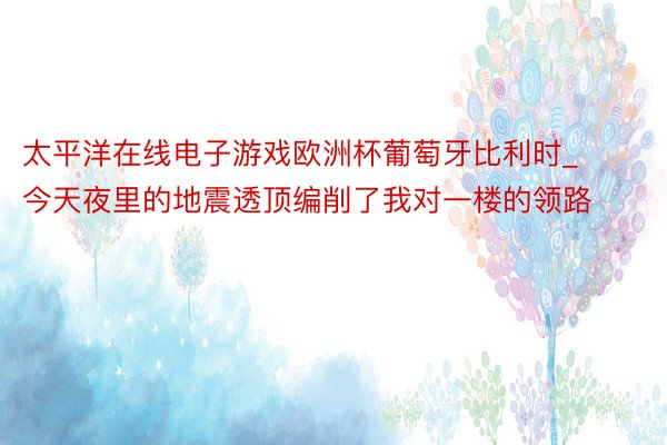 太平洋在线电子游戏欧洲杯葡萄牙比利时_今天夜里的地震透顶编削了我对一楼的领路