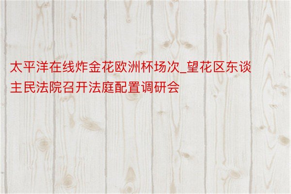 太平洋在线炸金花欧洲杯场次_望花区东谈主民法院召开法庭配置调研会